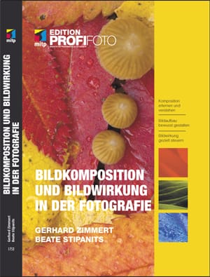 Bildkomposition und Bildwirkung in der Fotografie