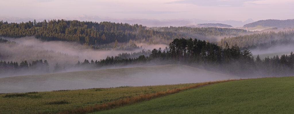 Huegellandschaft-Muehlviertel-im-Morgennebel